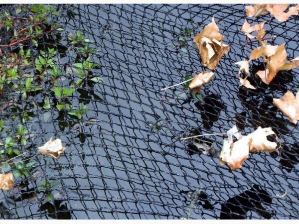 velda-cover-net-2-600x450.jpeg
