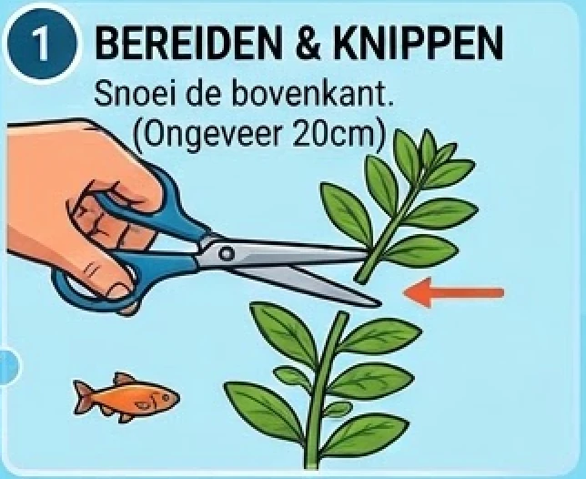 Schermafbeelding 2026-10-23 om 17.21.53.png