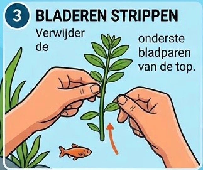 Schermafbeelding 2026-10-23 om 17.22.26.png