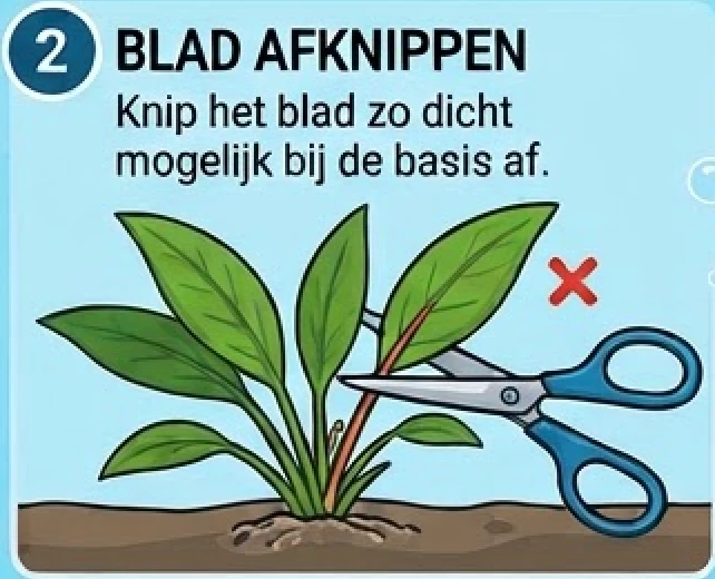 Schermafbeelding 2026-10-23 om 17.23.13.png