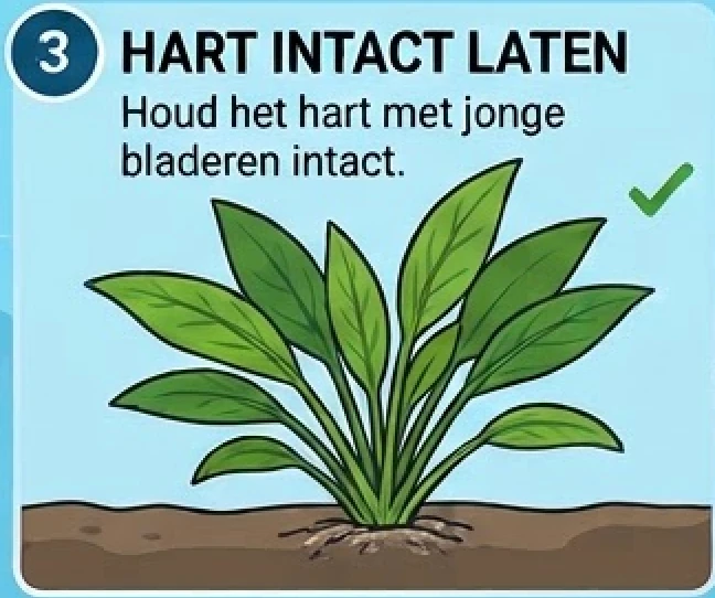 Schermafbeelding 2026-10-23 om 17.23.25.png